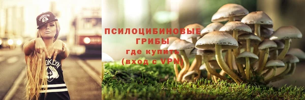 твердый Балашиха