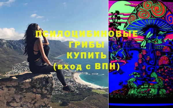 амф Алексеевка