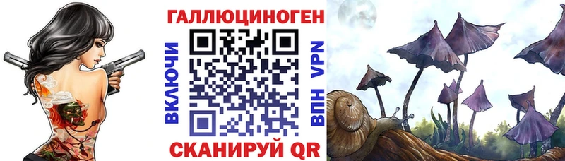 Псилоцибиновые грибы мицелий магазин наркотиков Ижевск