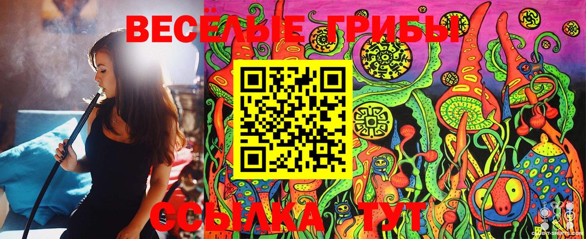 Ижевск  Галлюциногенные грибы Cubensis  Вход с VPN 