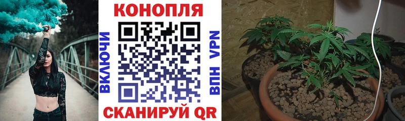 Конопля ГИДРОПОН Ижевск